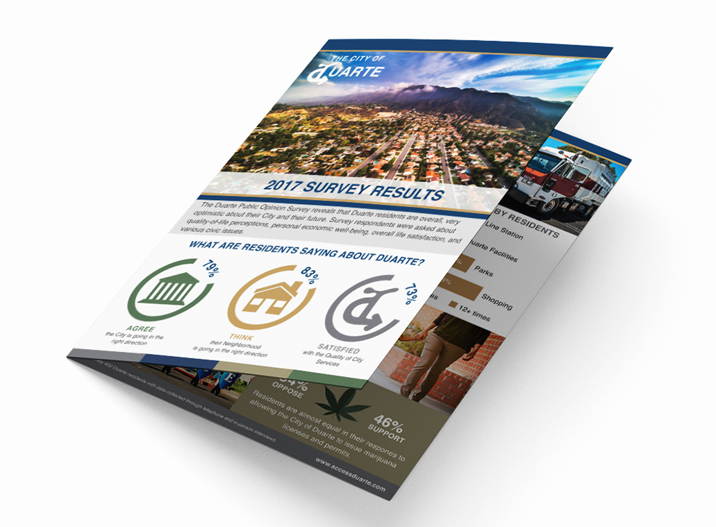 Data-Survey-Brochure