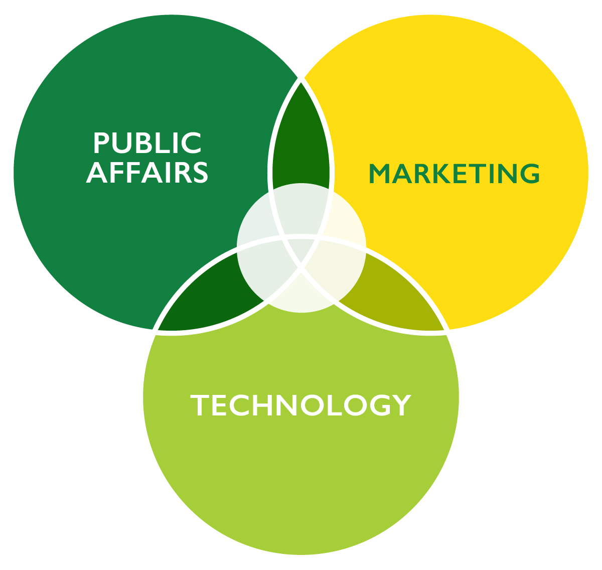 Tripepi Smith's venn diagram showing its position at the nexus of public affairs, marketing, and technology.