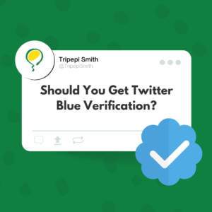 Should You Get Twitter Blue Verification 