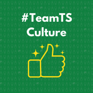 TeamTS culture logo